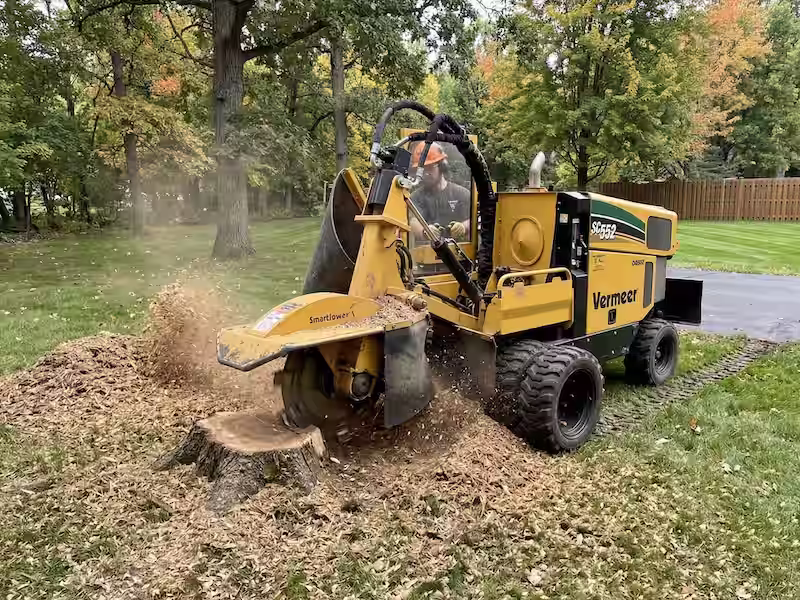 Tree Stump Grinding