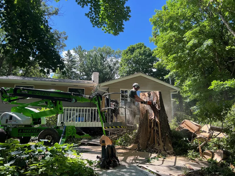 Emergency Tree Service
