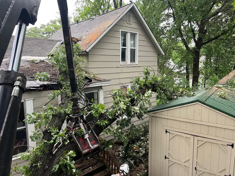 Storm Damaged Tree Cleanup