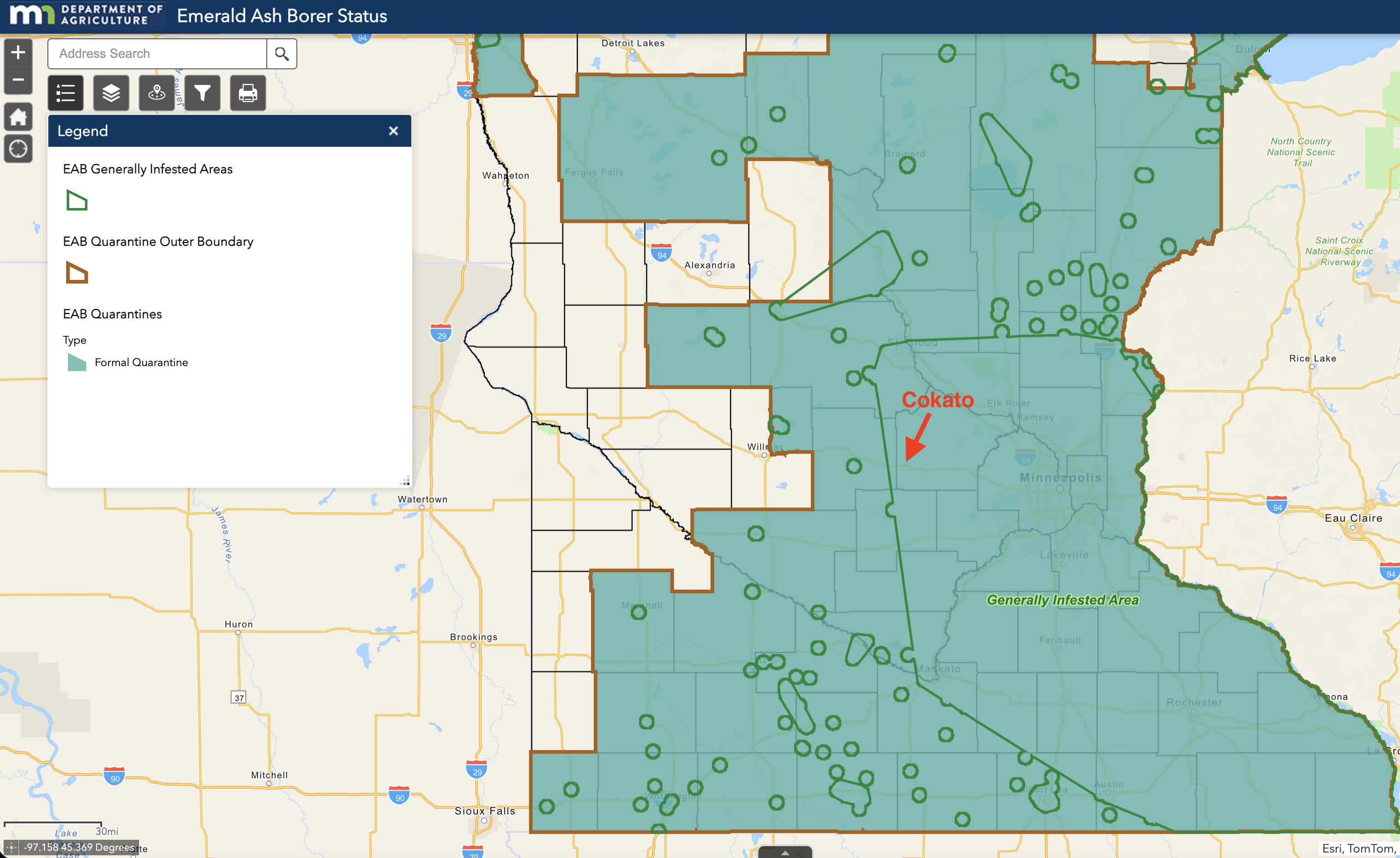 Emerald Ash Borer in Minnesota: Should You Treat or Remove Your Ash Tree?