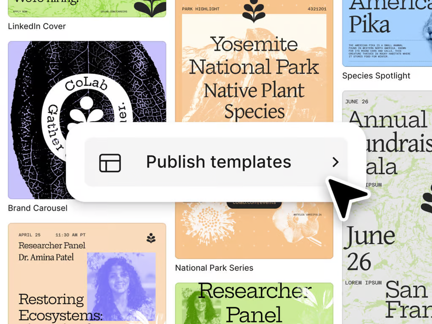Marketing asset templates in Buzz, featuring panels, event cards, and LinkedIn covers.
