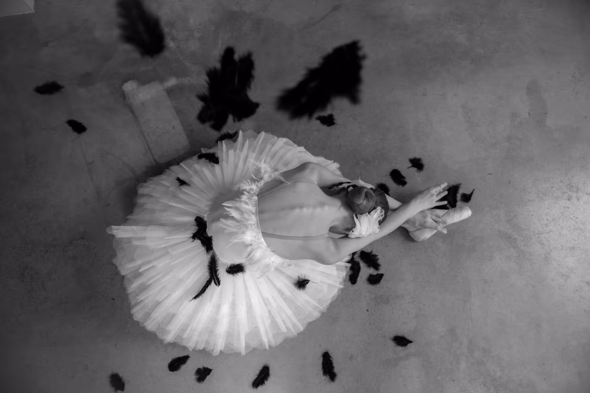 Top view of a ballerina in a white tutu stretching on the floor surrounded by scattered black feathers.