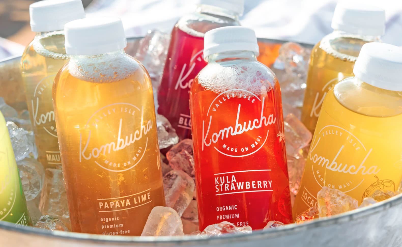 Rich Text - Saaslify X Webflow Template