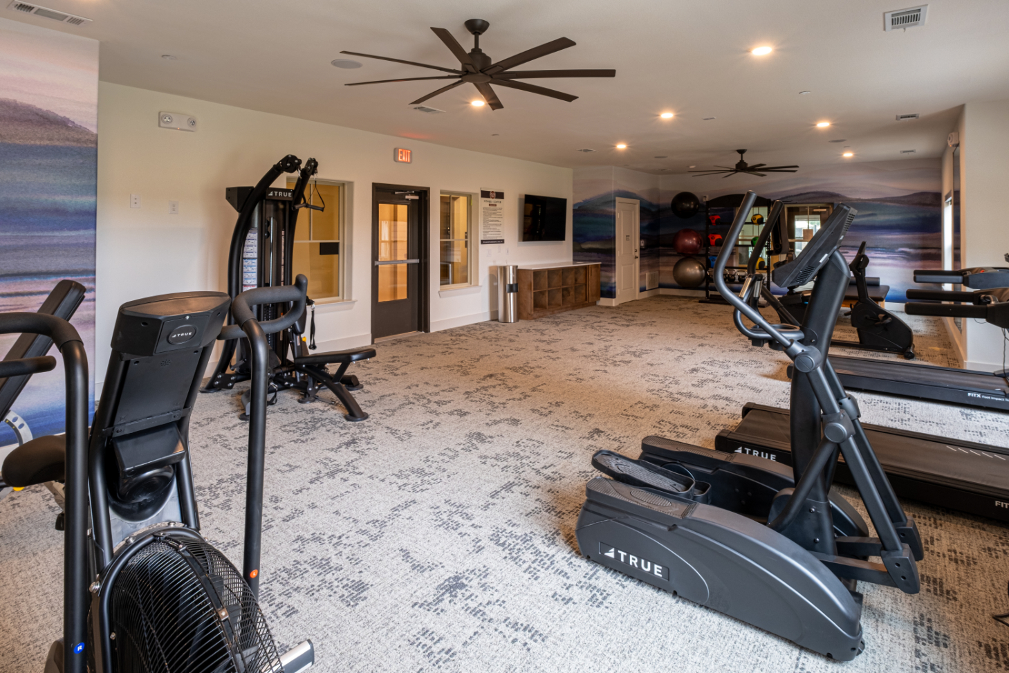 Gym with treadmills and elliptical machines 