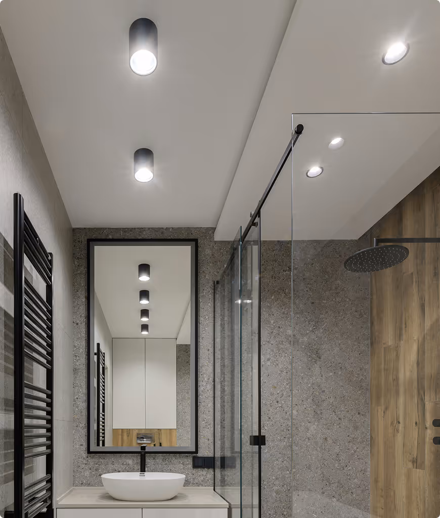 A bathroom with a white toilet and a large mirror.