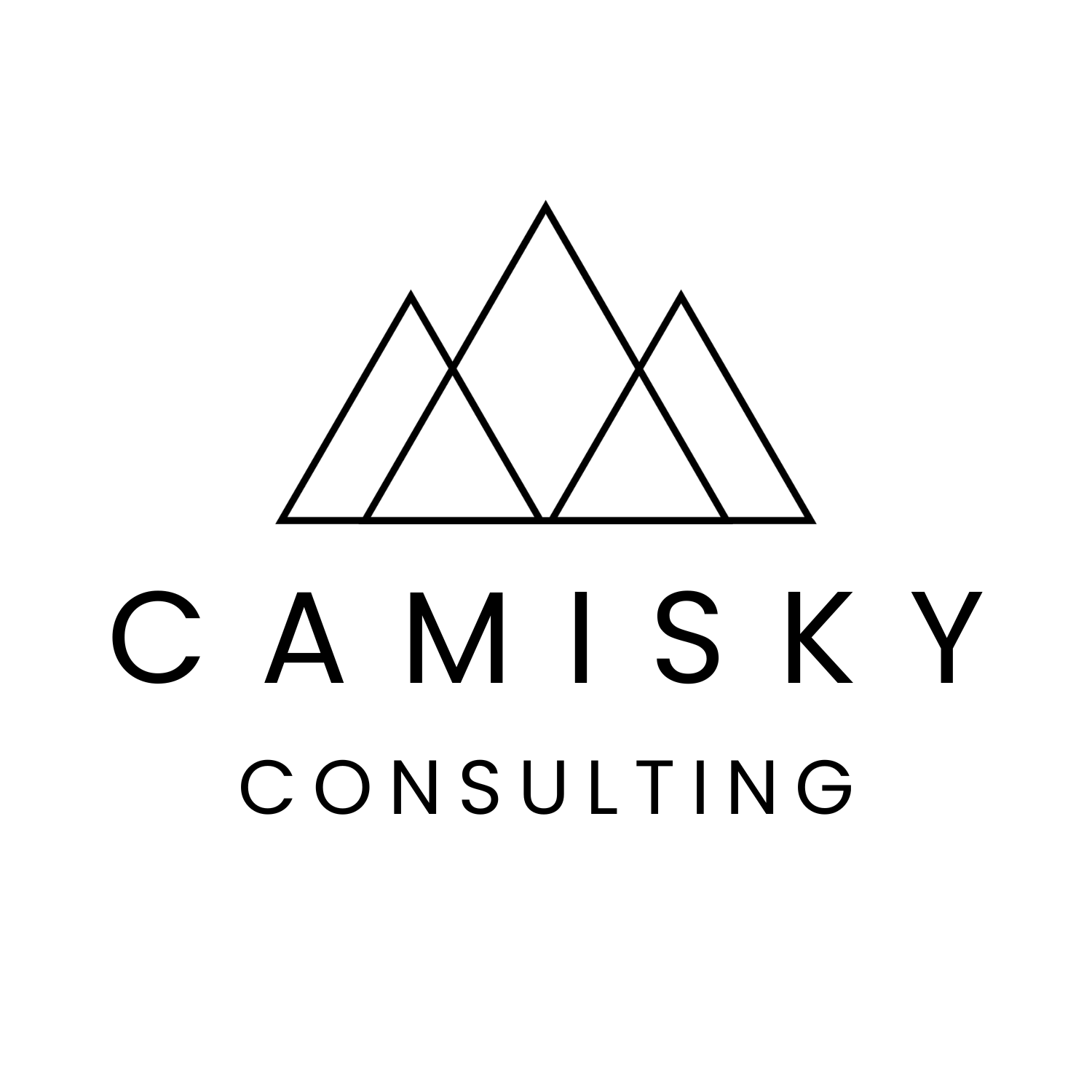 Camisky Consulting logo