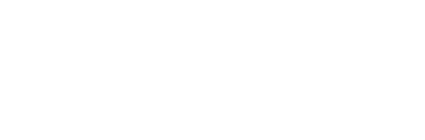 Alki Community Council
