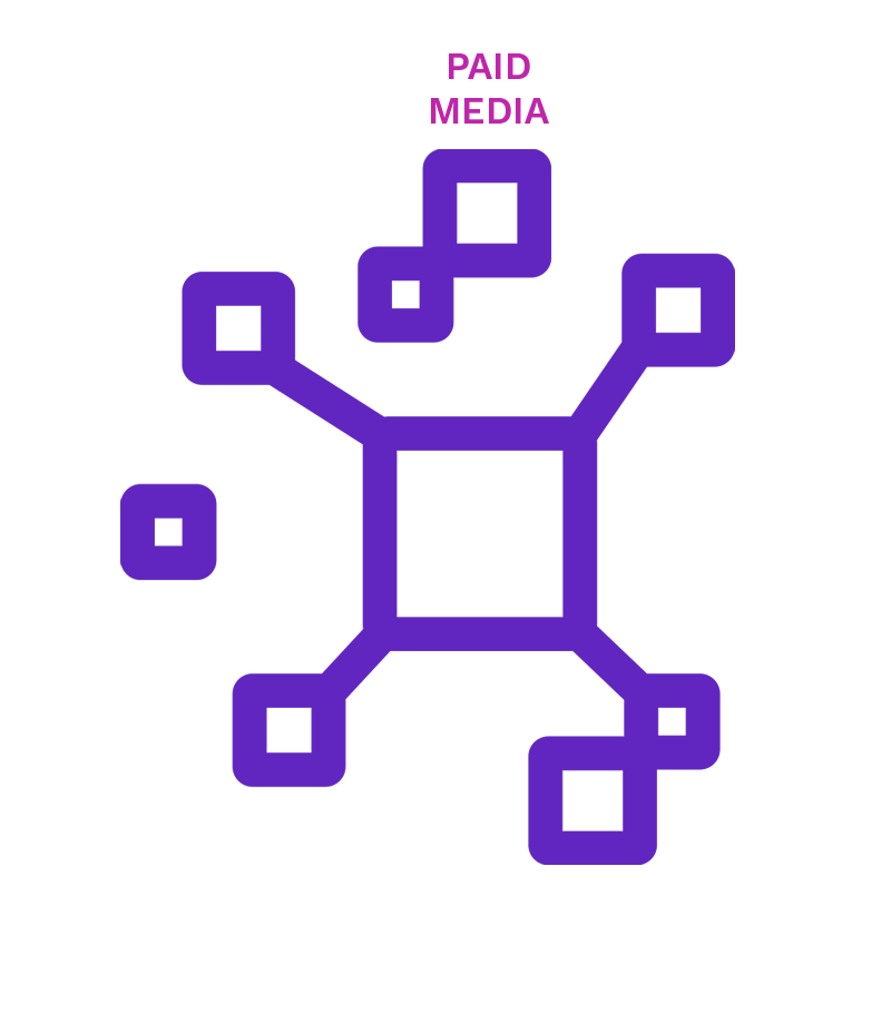Paid Media