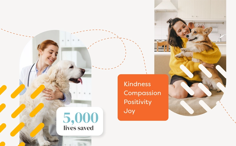 portfolio work for Gate135