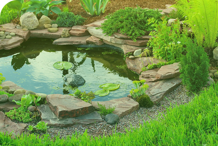 lush green garden pond stone patio