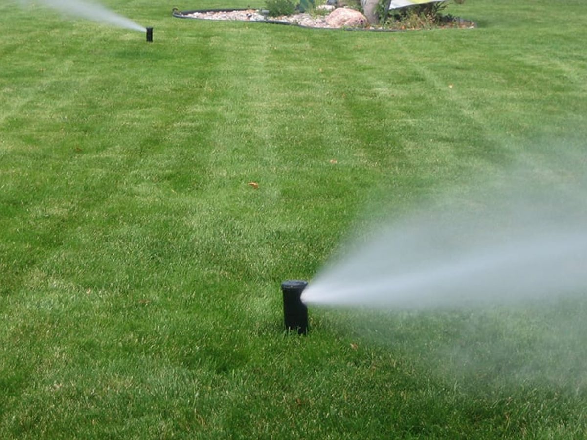 A sprinkler sprays water over a lush green lawn, creating a refreshing scene on a sunny day.
