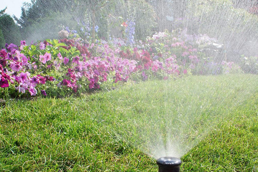 A sprinkler sprays water over a lush green lawn, creating a refreshing scene on a sunny day.