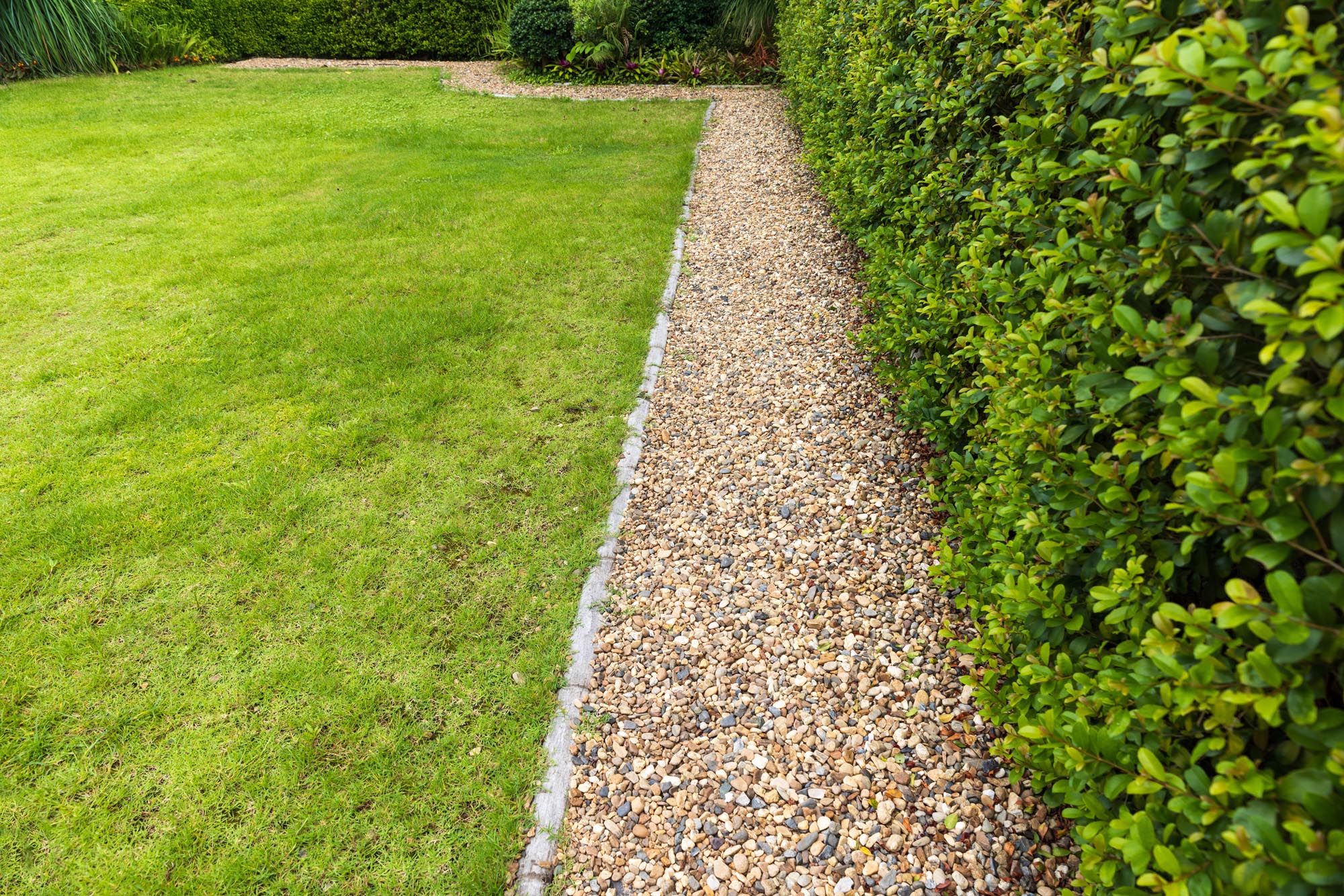 A gravel path winds through a lawn, bordered by a hedge and shrubs at Avalawn.