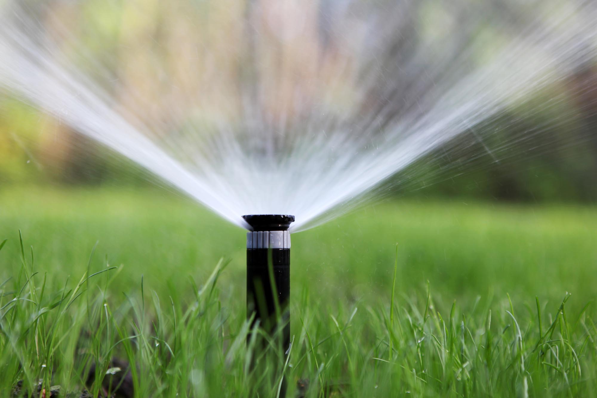 A sprinkler sprays water over a lush green field at Avalawn, creating a refreshing scene of irrigation.