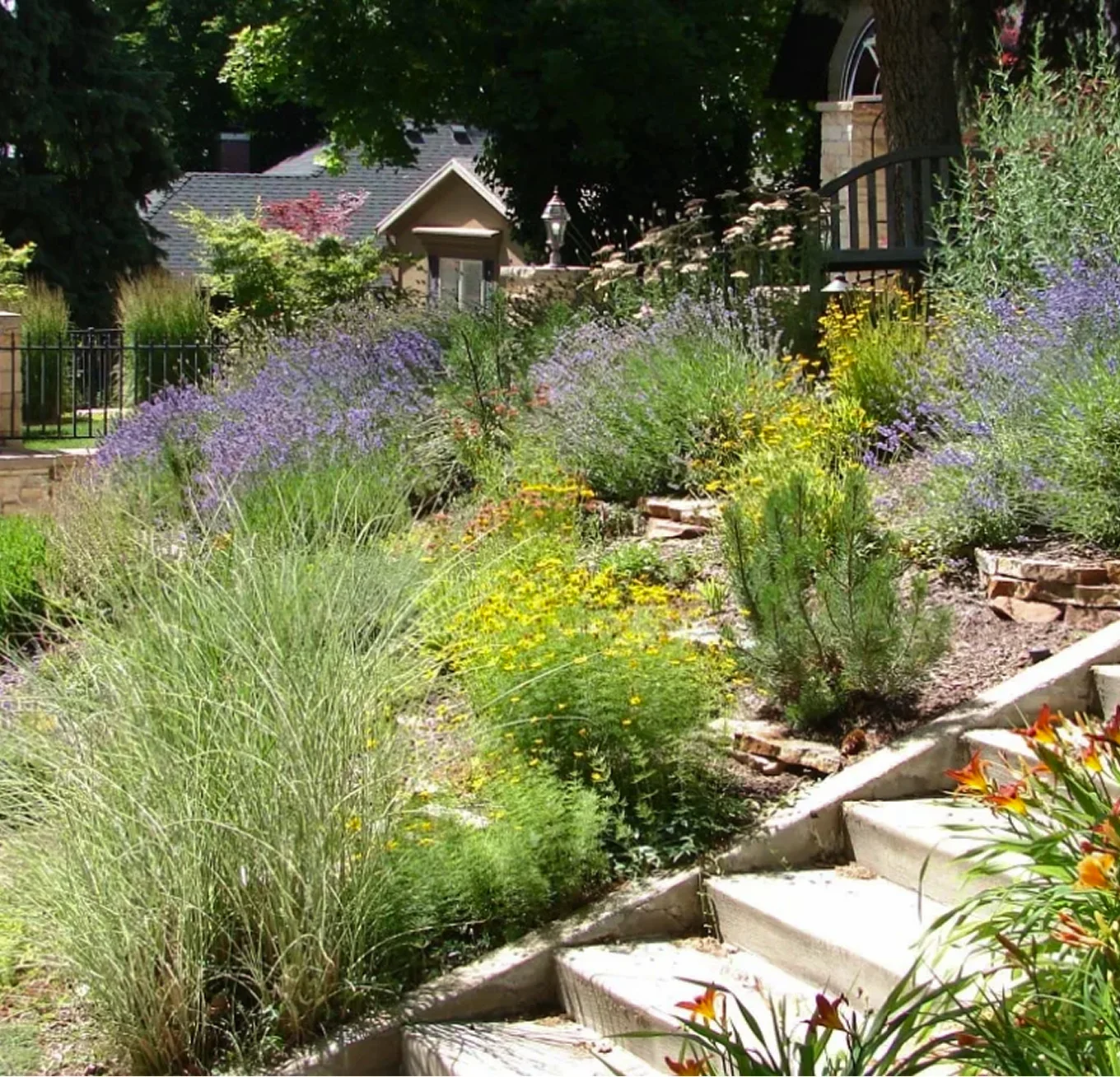 stone garden steps purple lavender yellow blooms