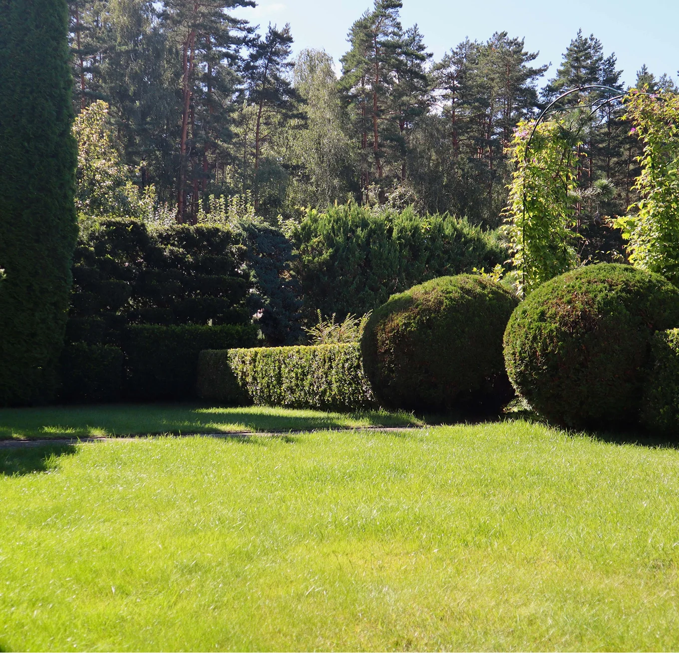 green spherical topiary shrubs manicured lawn