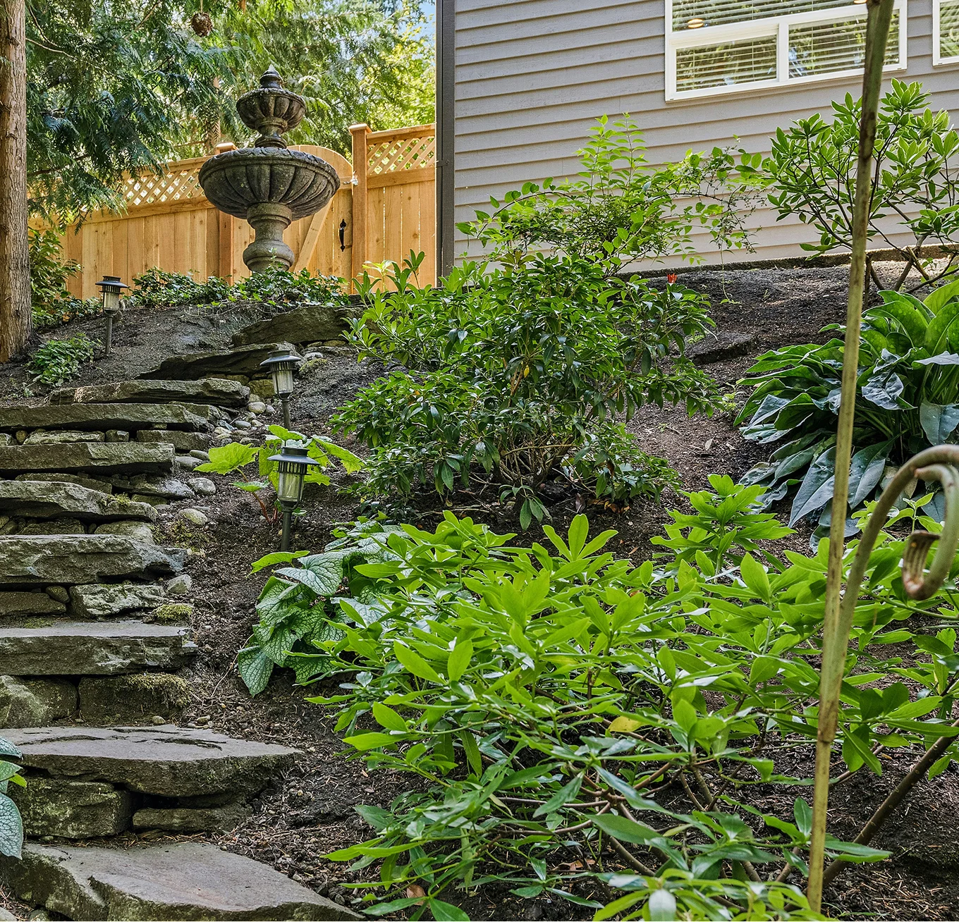 stone garden steps lush green shrubs fountain