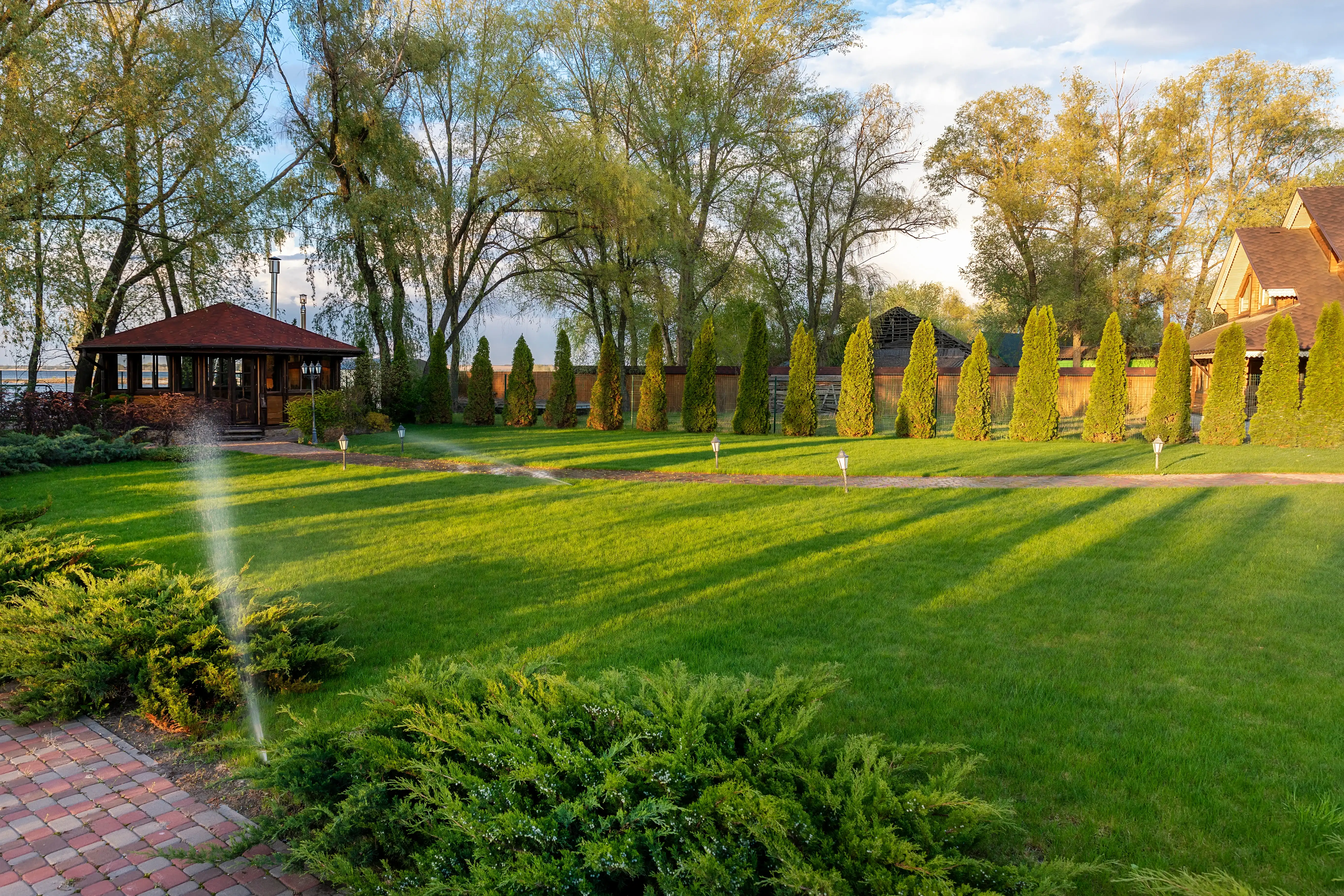 lush green backyard lawn sprinklers watering