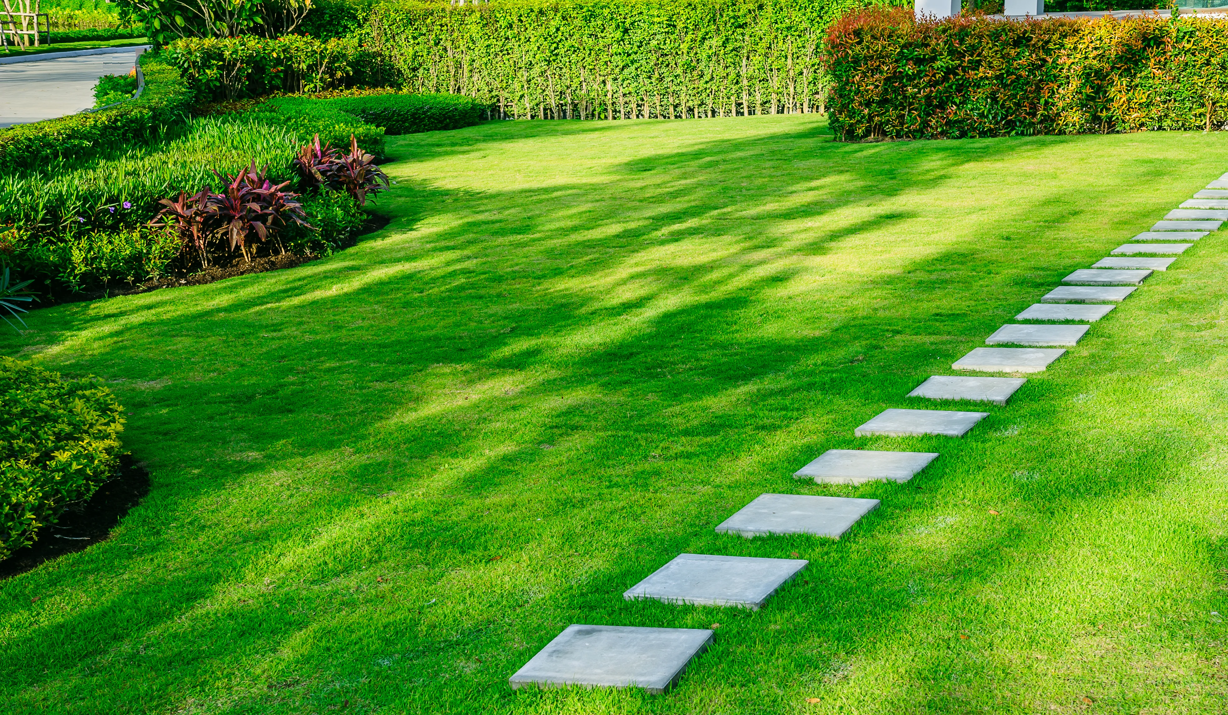 concrete stepping stones garden