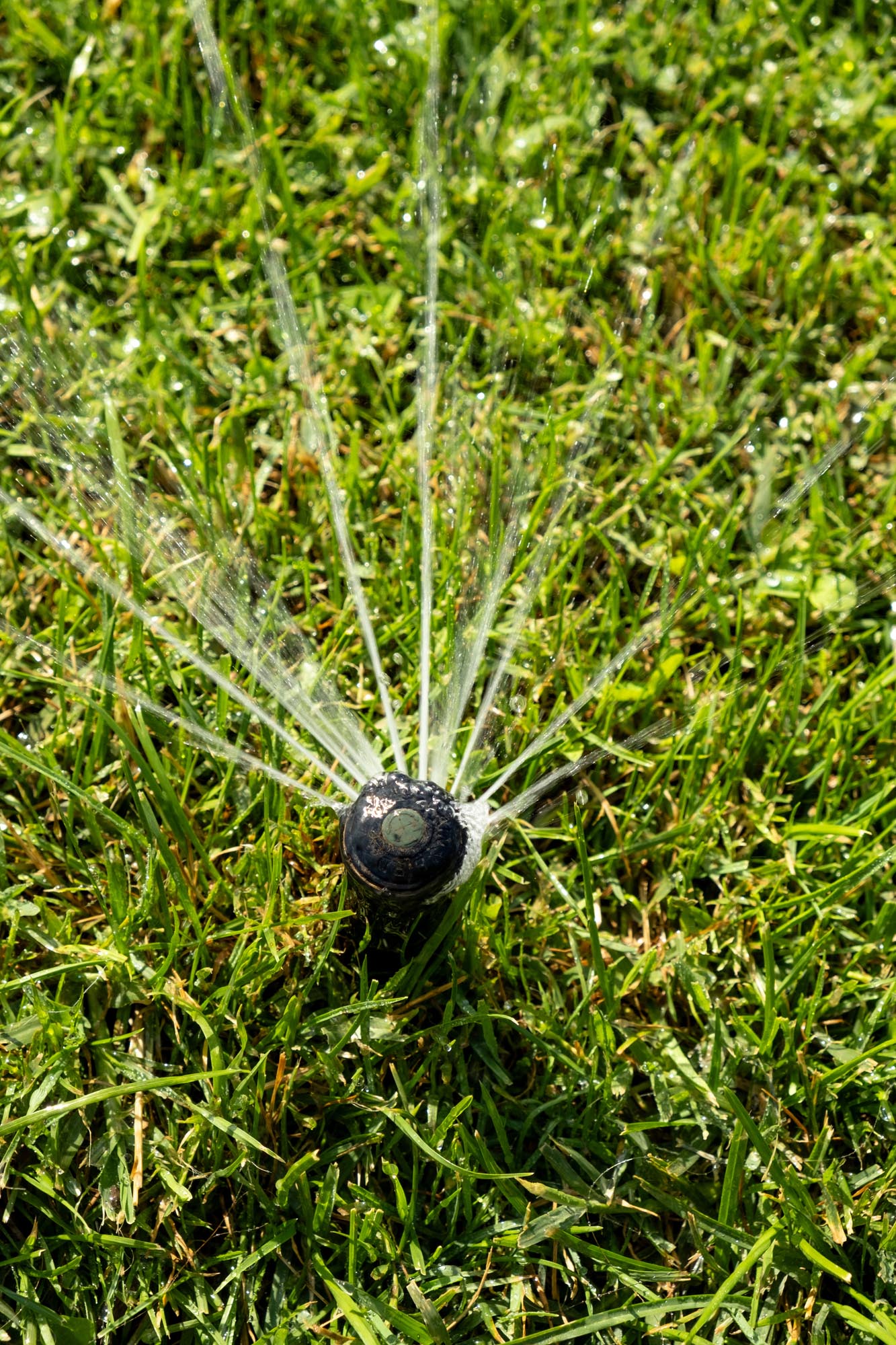 green lawn sprinkler spraying water closeup