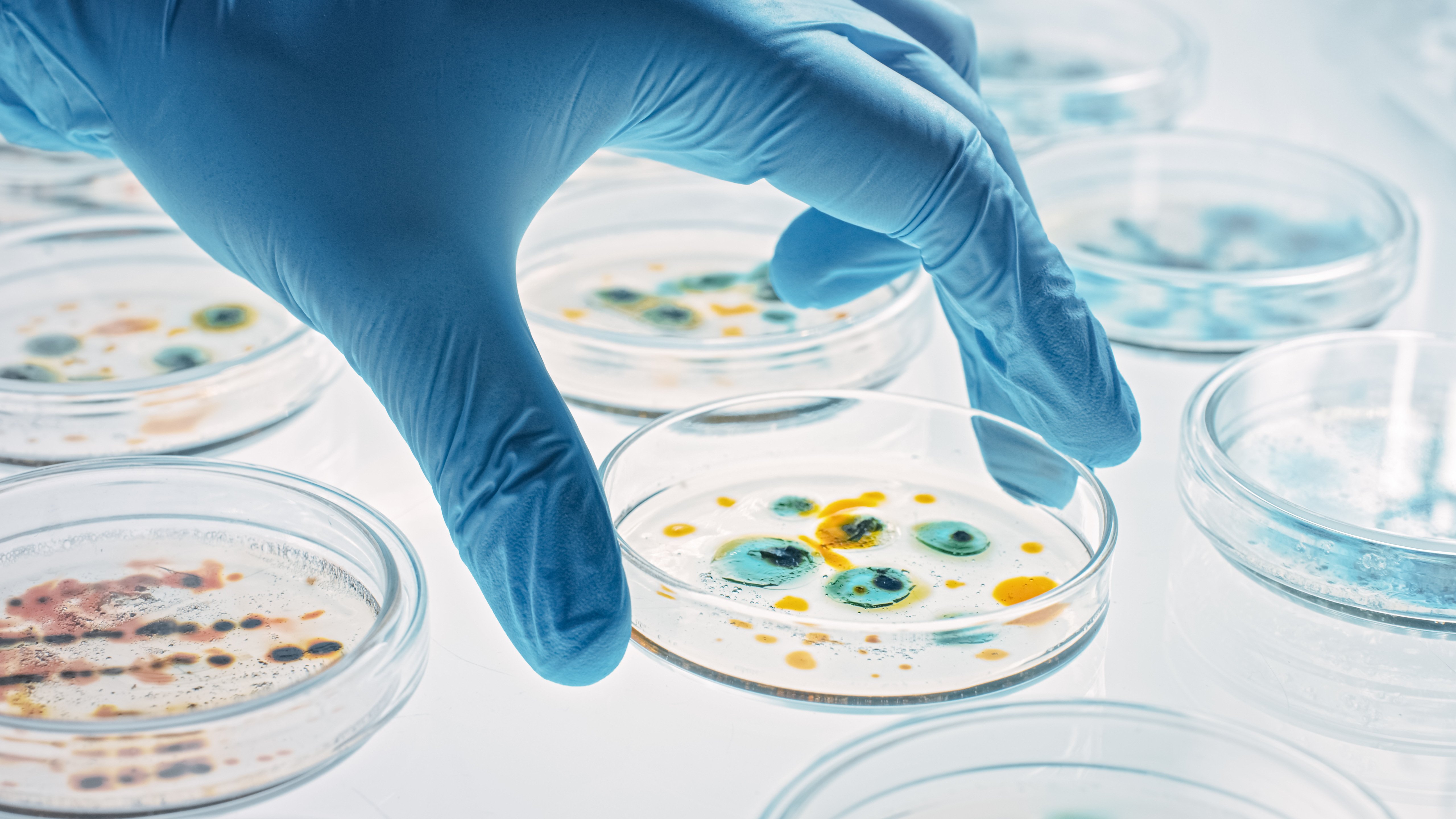 A laboratory
