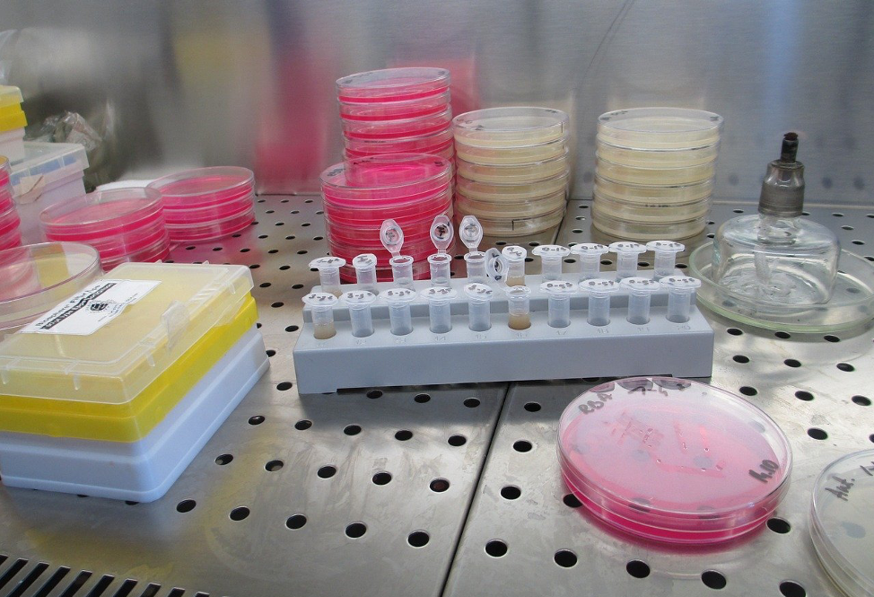 A laboratory