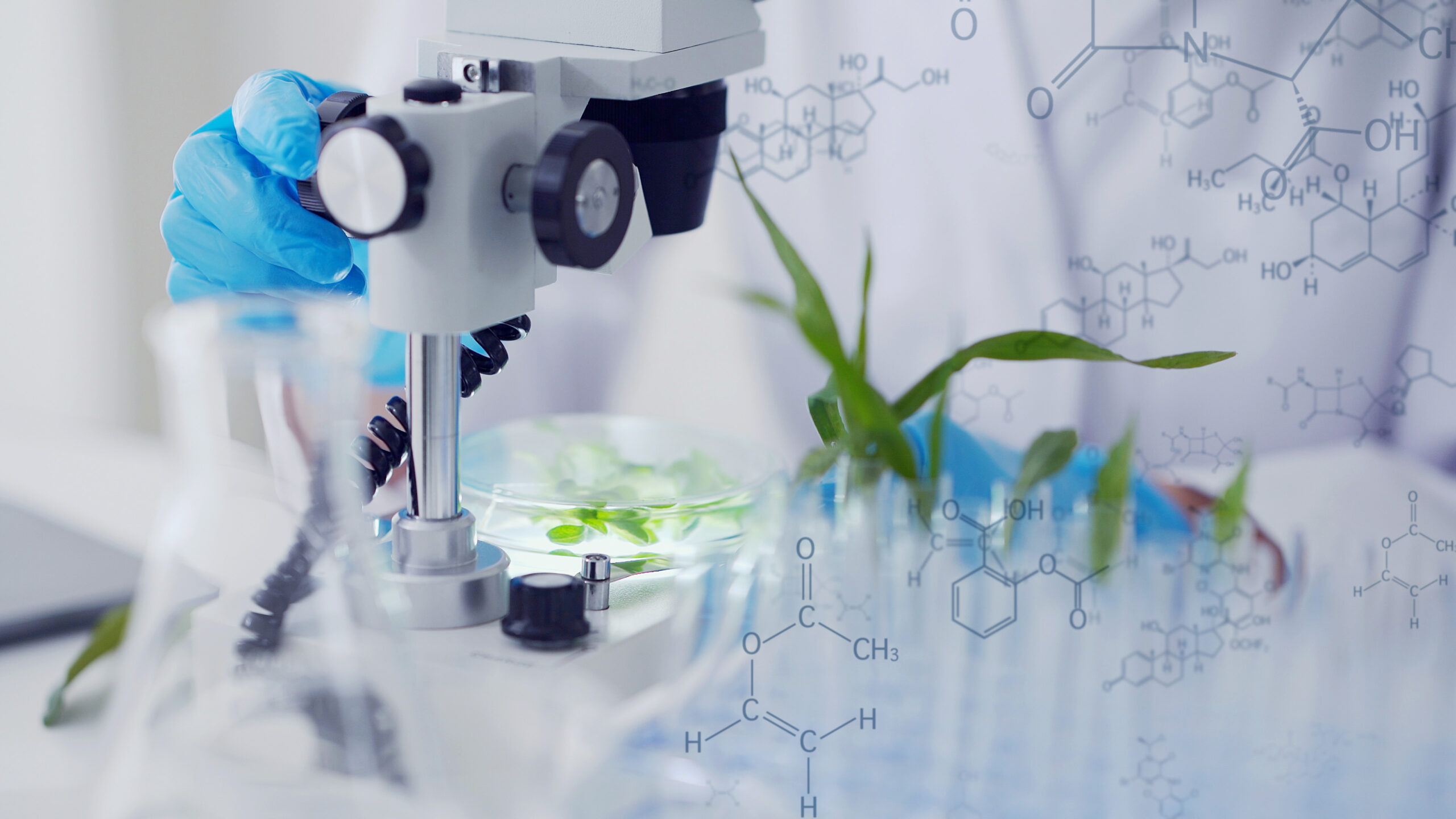 A laboratory