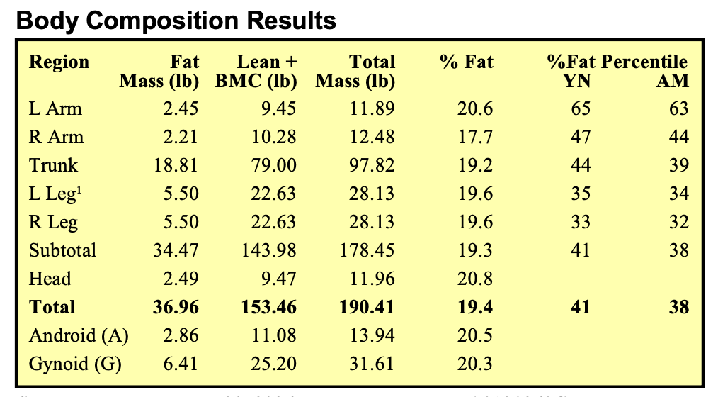 DEXA scan Body composition results