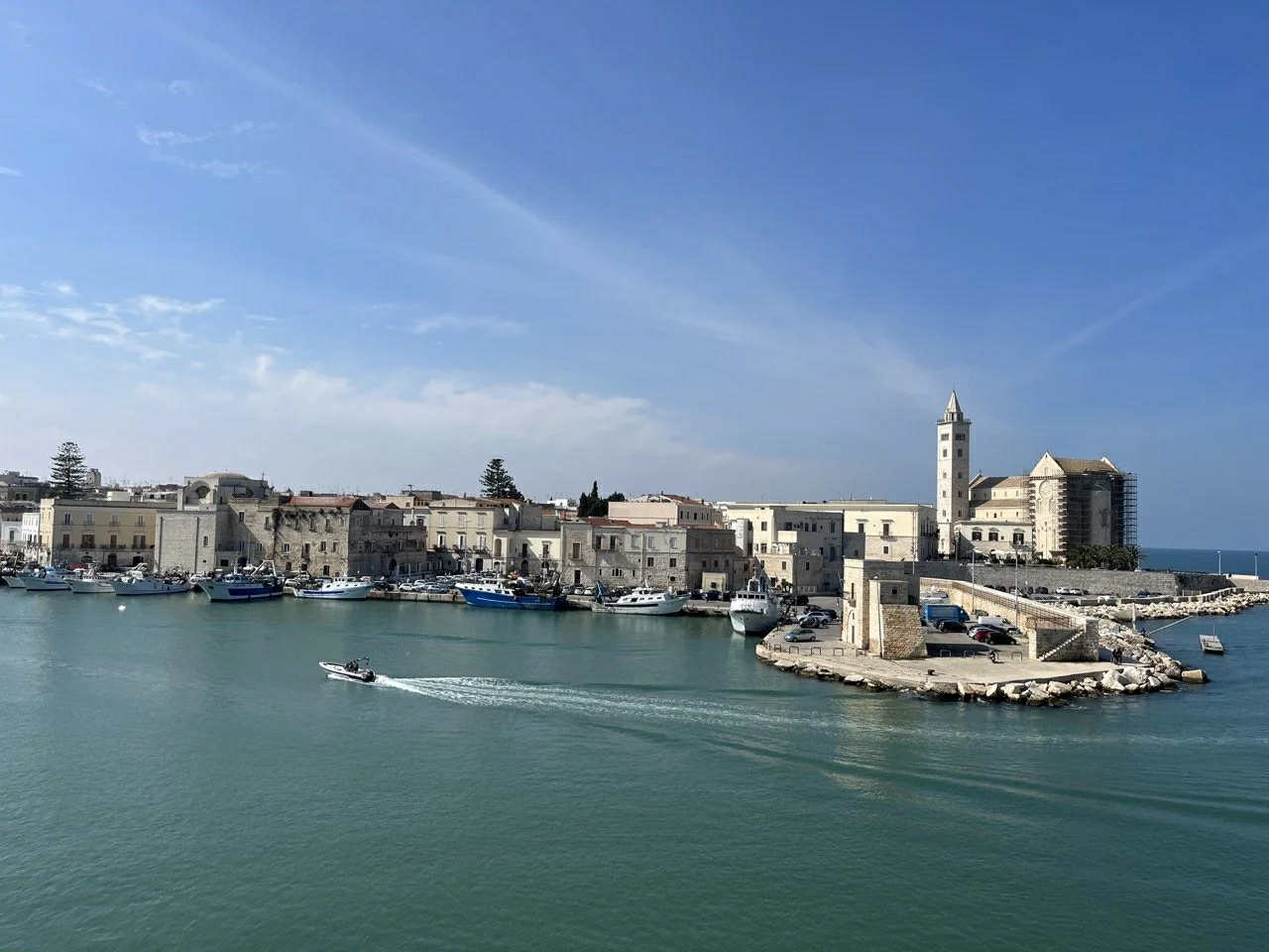 Trani — a picturesque seaside town in Puglia famed for its stunning waterfront cathedral, historic harbor, and elegant Mediterranean atmosphere.
