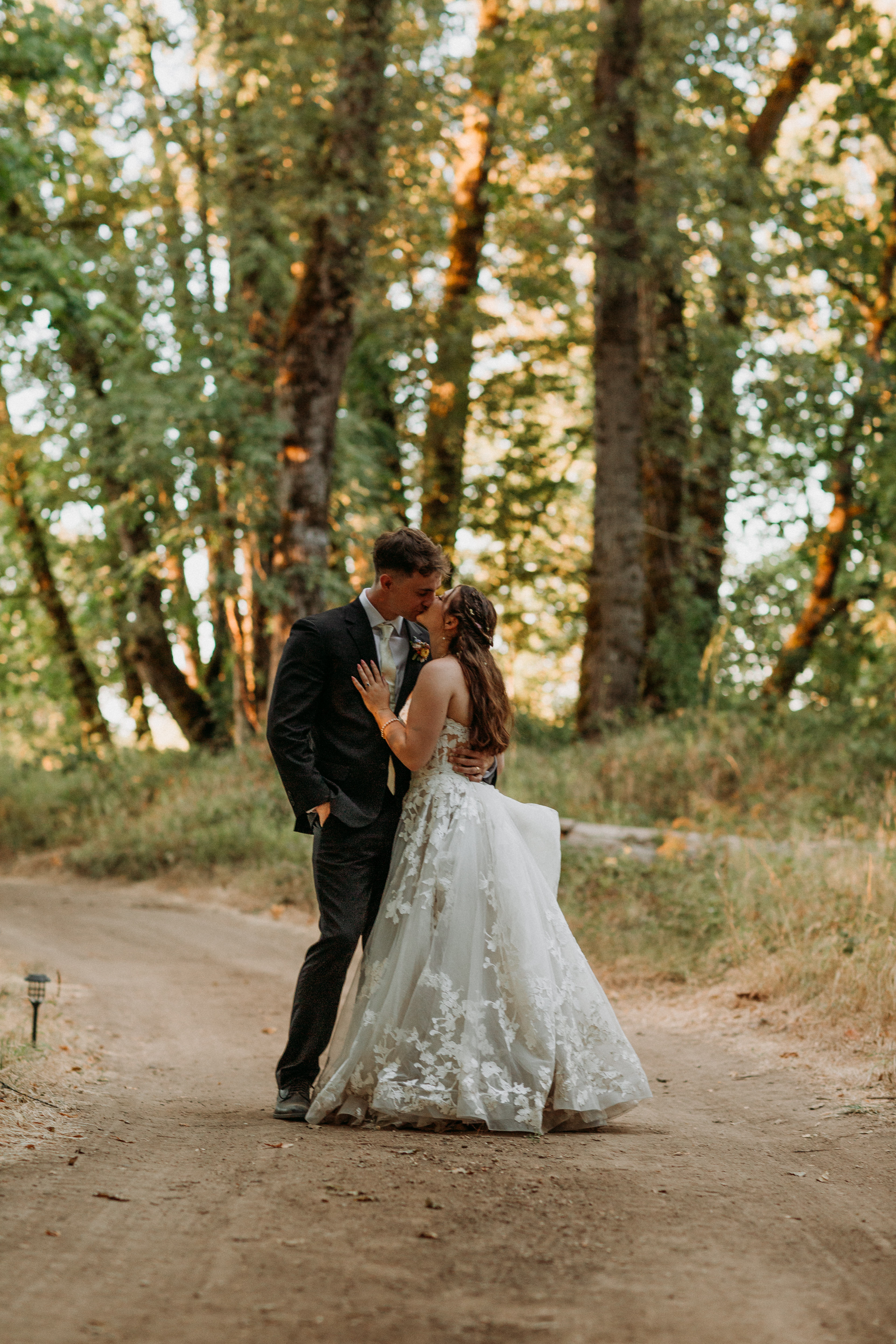 image of an elegantly designed garden for a luxury landscaping service