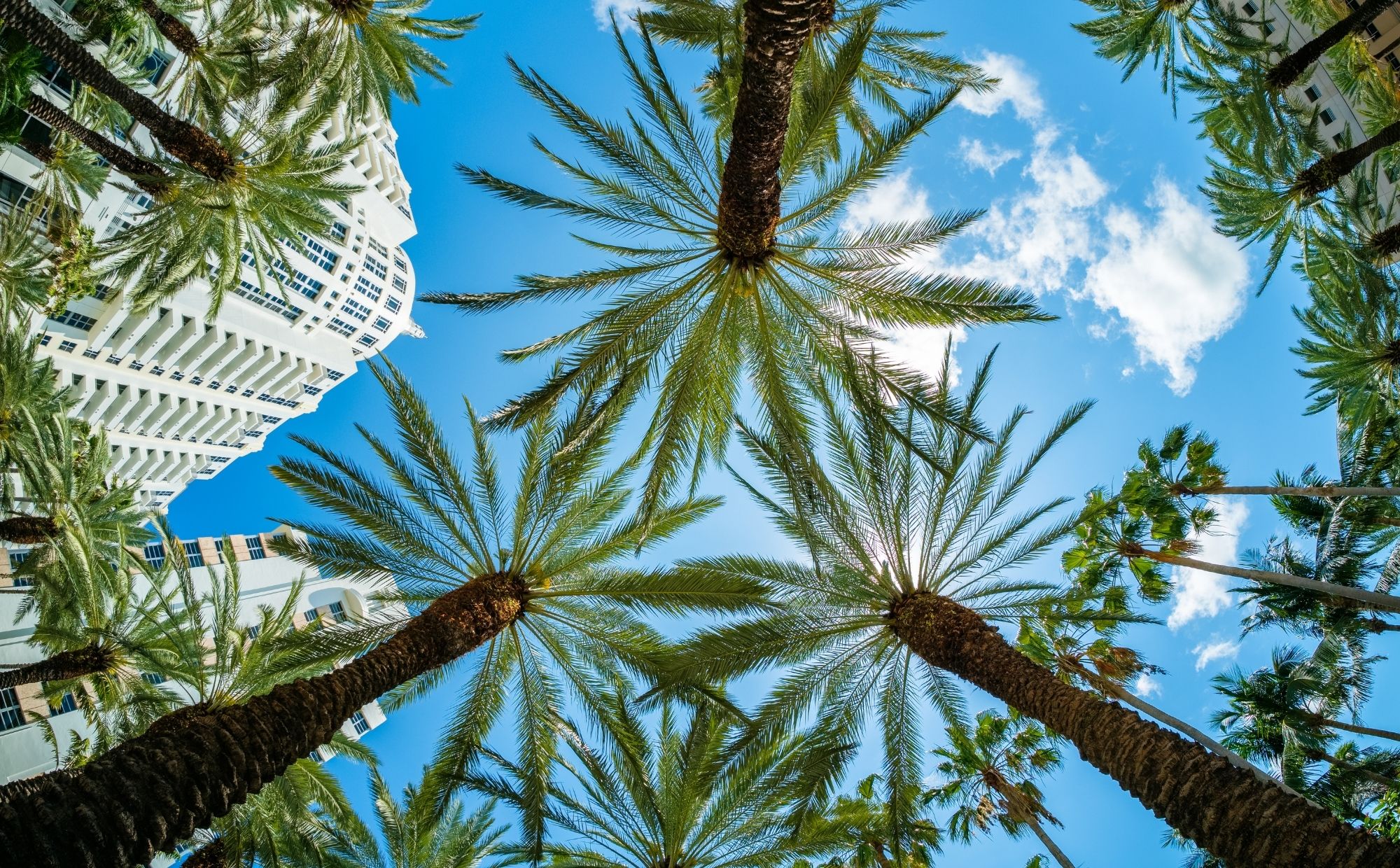 Yachting Webflow Website Template