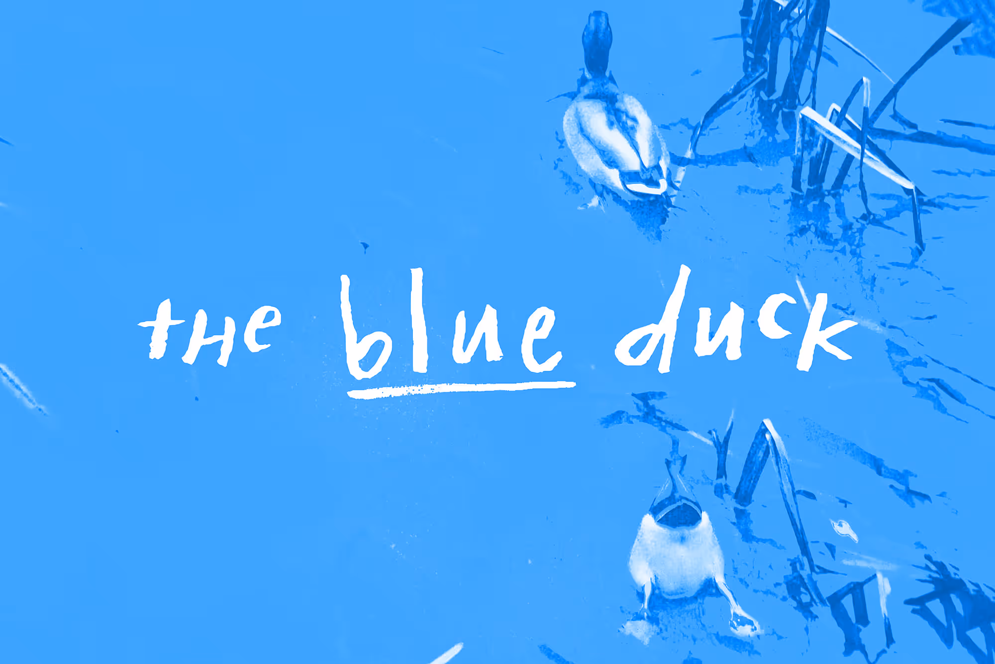 Graphic design showcasing a scene with ducks in water, combined with The Blue Duck logo using a script font, highlighting the brand's connection to nature and its relaxed, approachable style.