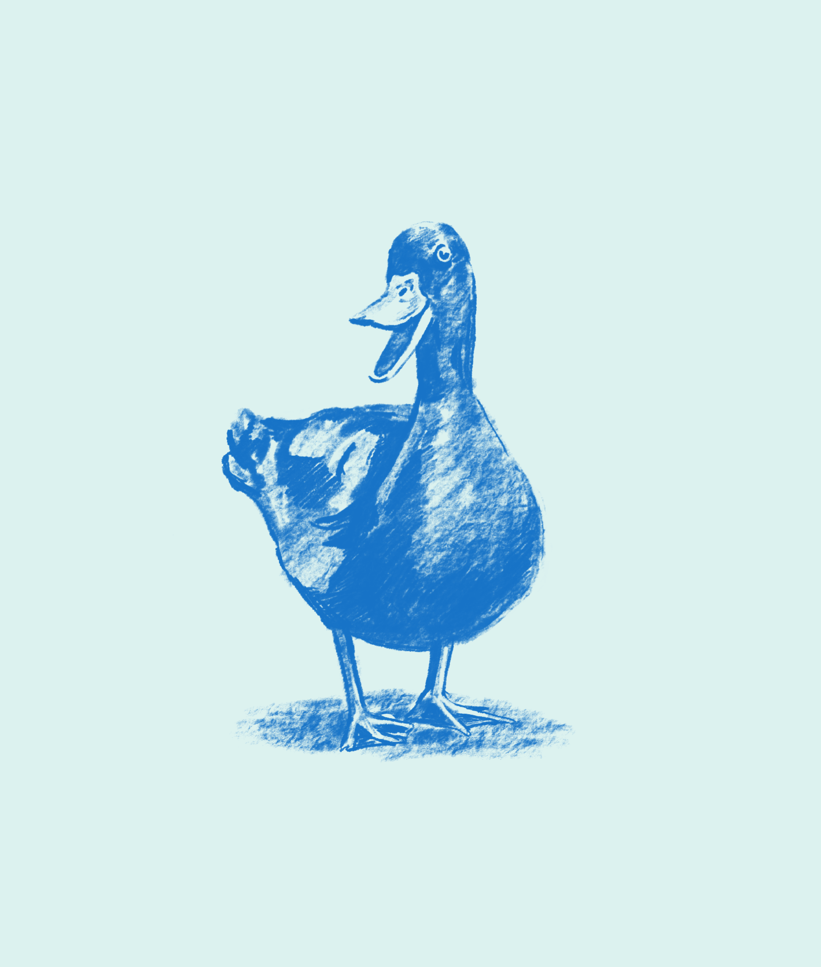 Animated transitions between illustrative duck graphics for The Blue Duck brand.