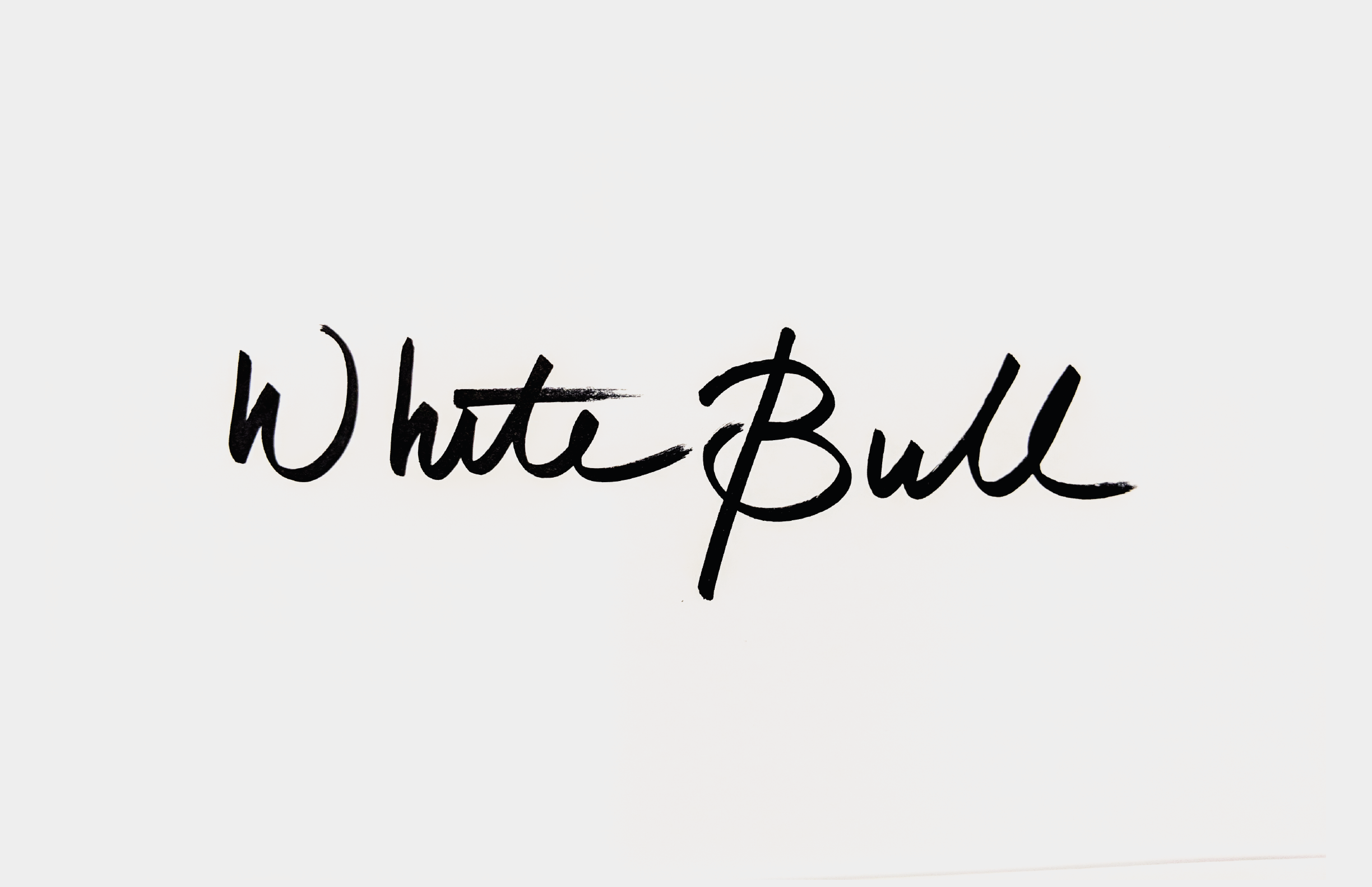 The words 'White Bull' written in a flowing, handwritten-style cursive script on a plain background.