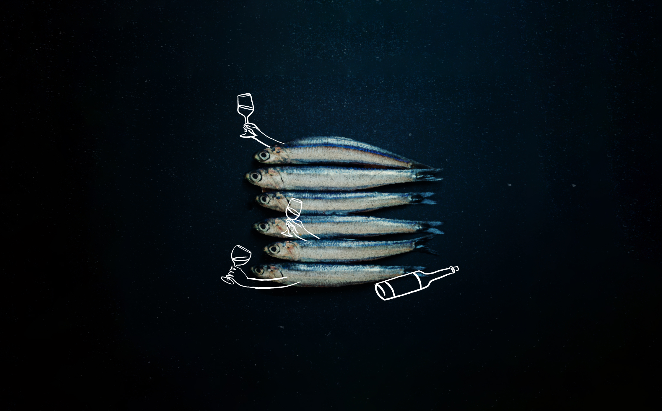 Photo of arranged sardines showcasing Alici's branding, emphasizing the combination of realistic food photography with whimsical line art.