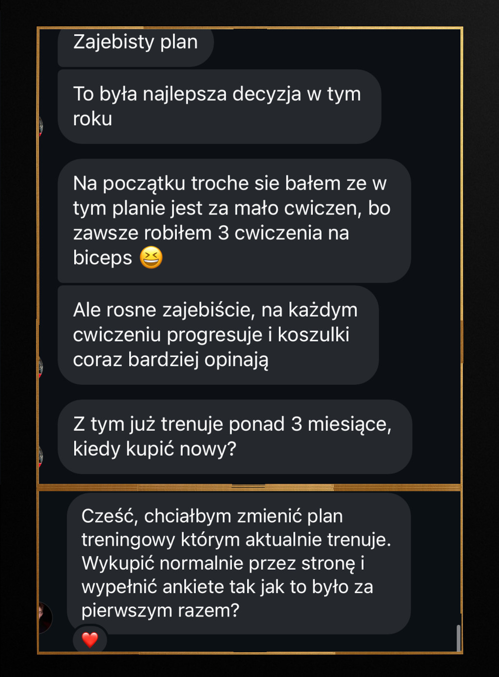 Chat conversation in Polish praising a workout plan, discussing initial concerns about exercise quantity, progress in muscle growth, training duration of over 3 months, and inquiring about changing the current training plan with a heart emoji.