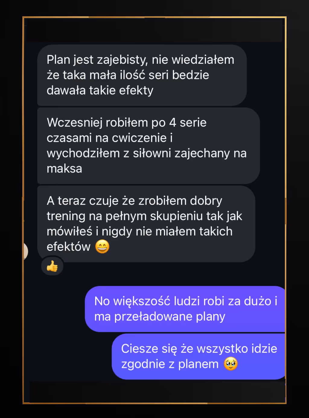 Screenshot of a Polish chat conversation about workout plans, praising an effective plan with fewer sets and discussing better focus and results.