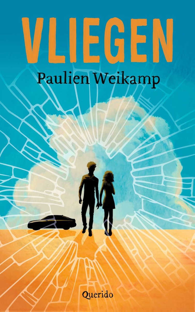 Vliegen - Paulien Weikamp