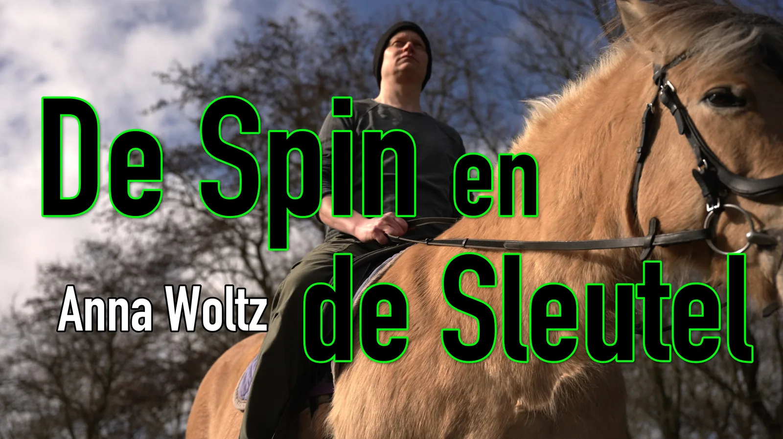 Cover van De spin en de sleutel – Anna Woltz