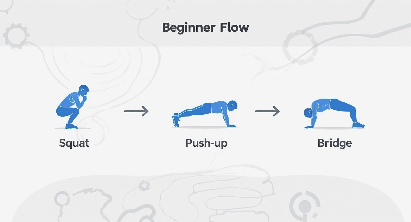 Infographic about what is circuit training