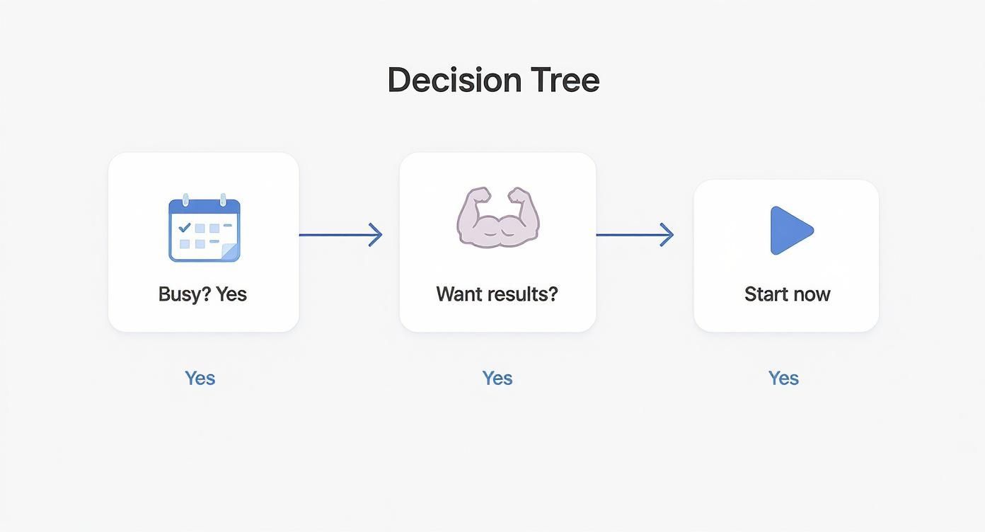 Infographic about 3 day split workout routine