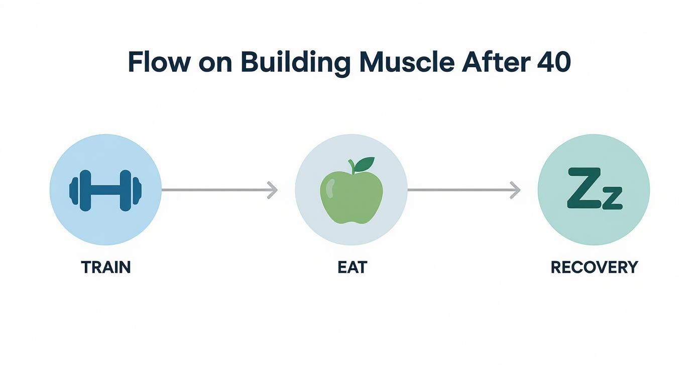 Three-step muscle building process after 40 showing training, nutrition, and recovery with icons