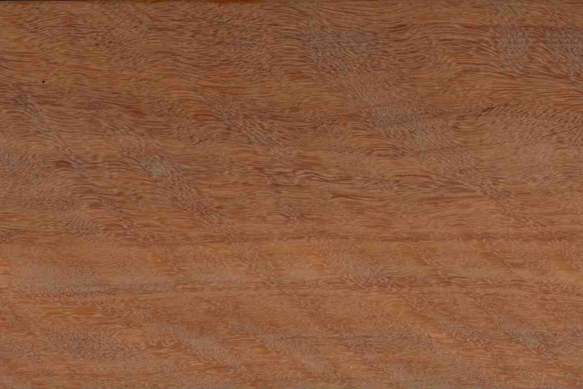 Jarrah