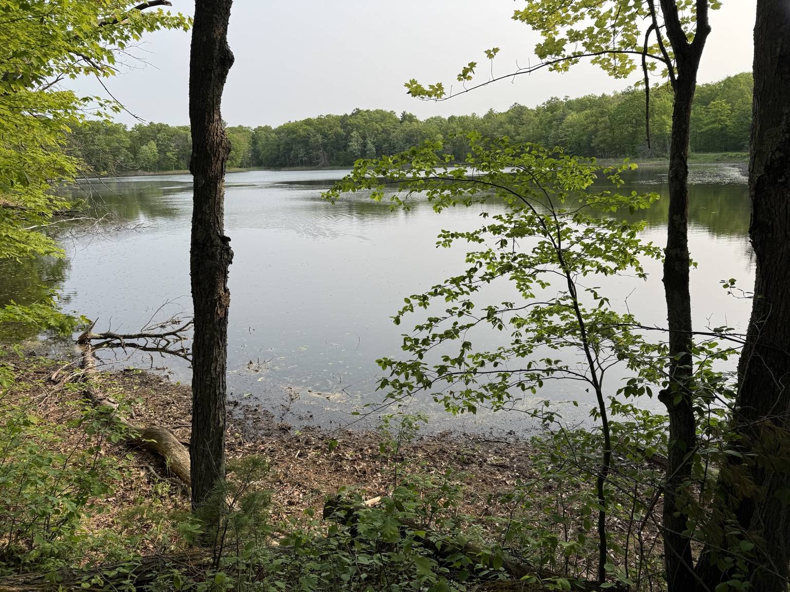 Deepening Your Relationship Through Daily Inspiration