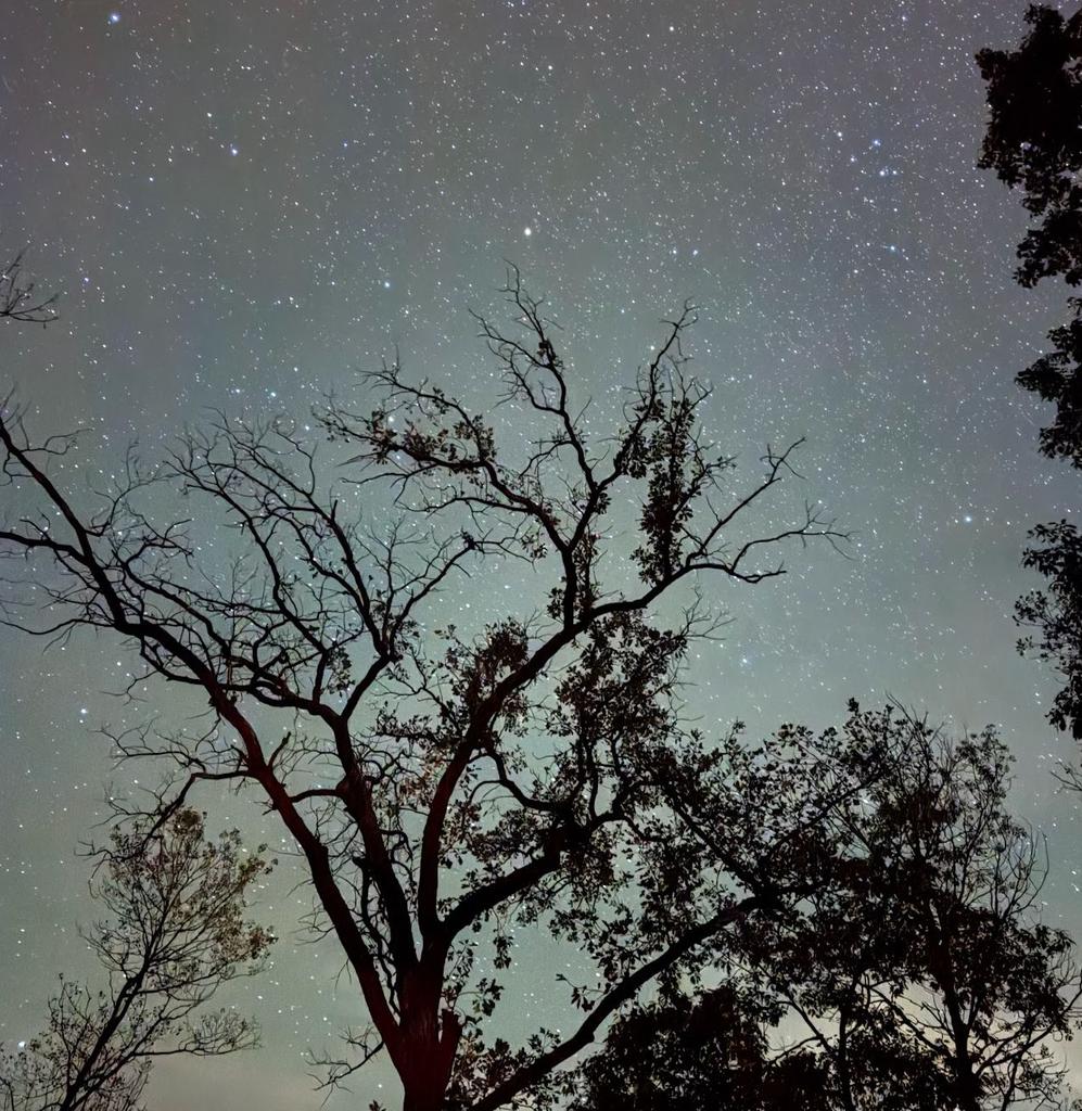 Daily Planning Checklist for Believers