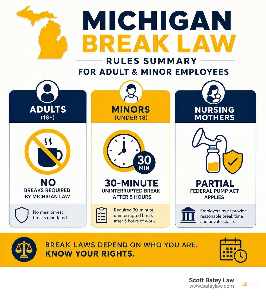 Michigan break law rules summary for adult and minor employees infographic Michigan break law rules summary for adult and minor employees infographic