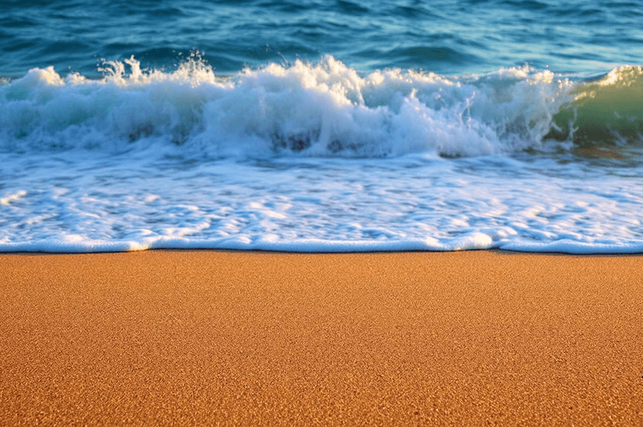 Portfolio Details Image