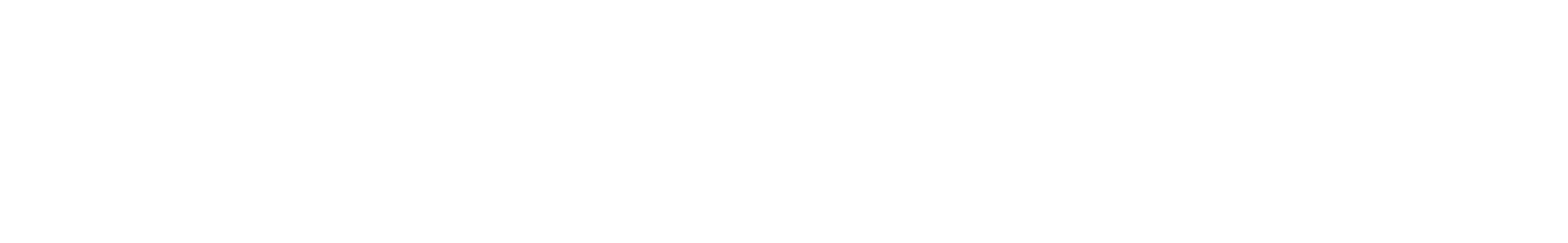 Homehost company logo text in white on a transparent background.