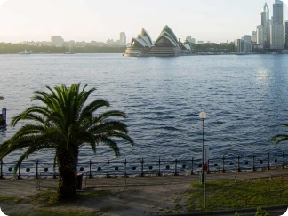 View across water of the Sydney Opera House with palm trees and a promenade in the foreground under a clear sky.