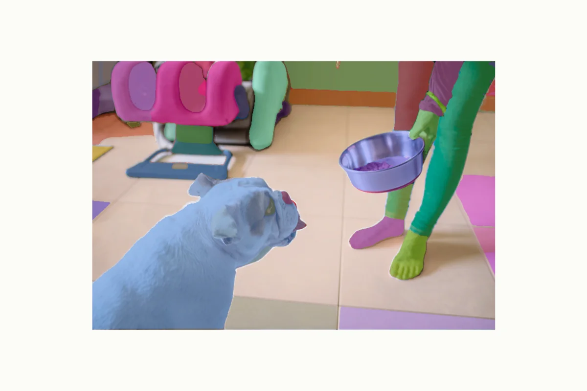 segment-anything-model